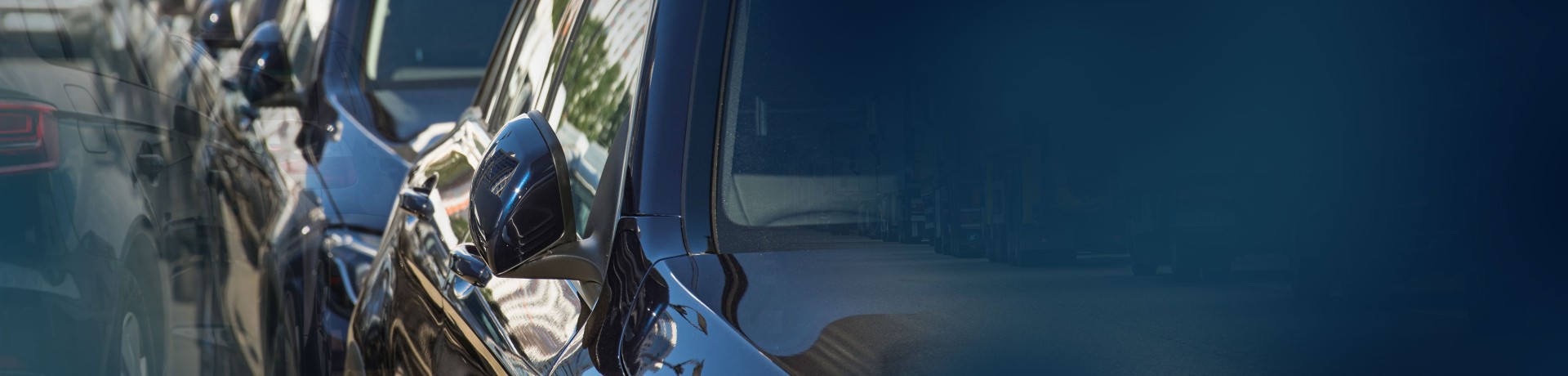Passenger Vehicle Registrations
March 2025