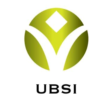 UBSI Ltd.